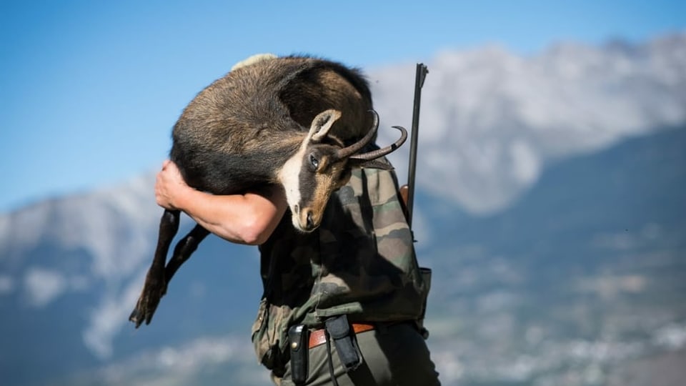 Per tge vai tar l'iniziativa per ina chatscha etica?