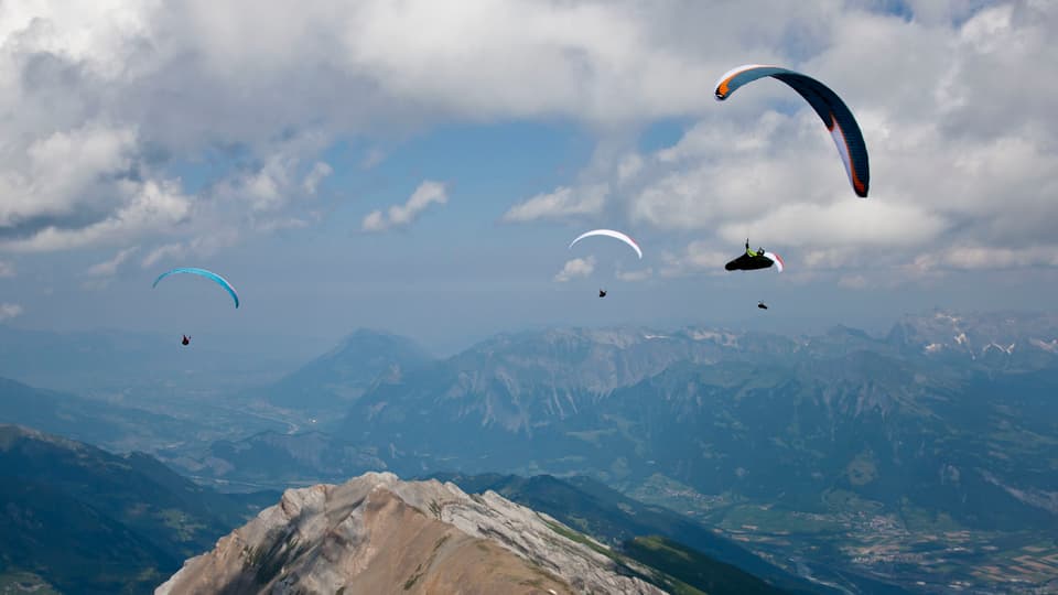 Parasguladers.