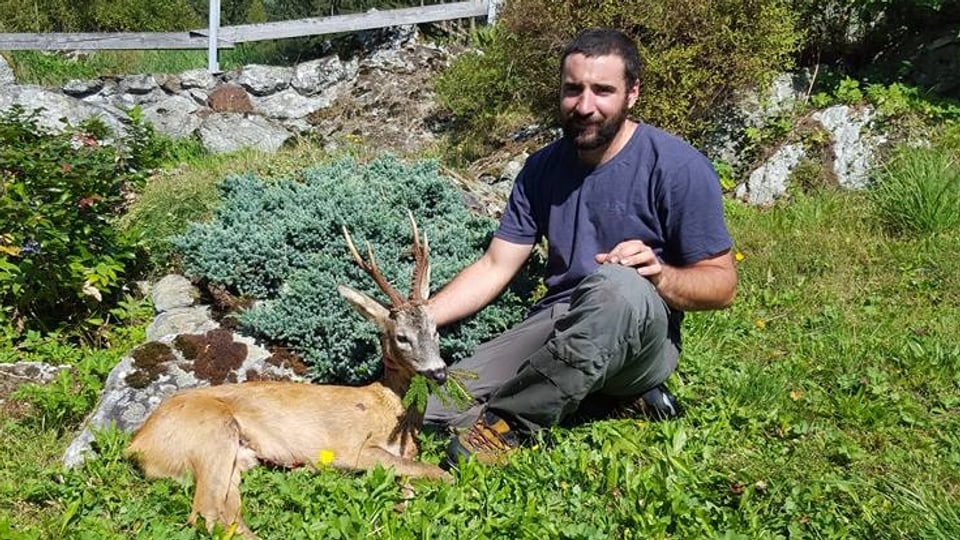 Elias Casanova da Siat ha sajettà in buc-chavriel. 