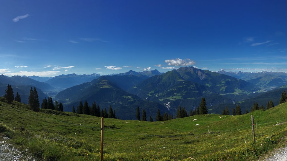 Panorama davent da l'Alp Mora.