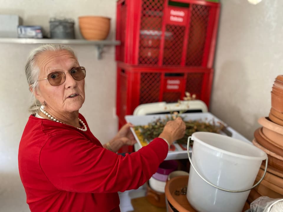 Quai che Mathilda Pernisch racoglia ord l'iert vegn duvrà pir l'enviern.