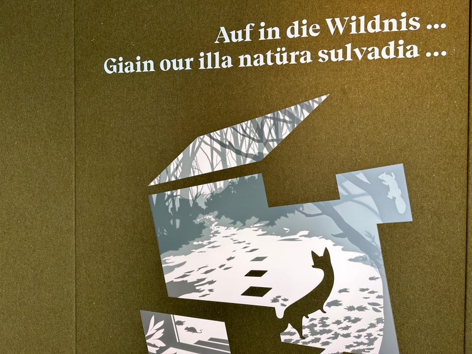 Ausstellung im Zentrum des Nationalparks