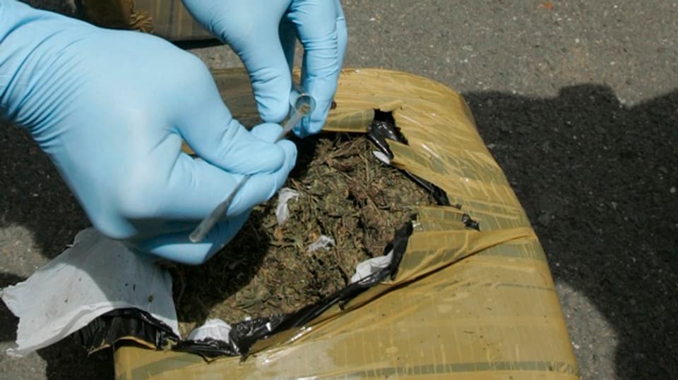 Policist prenda ina prova or dad in dals pacs cun en marihuana. 