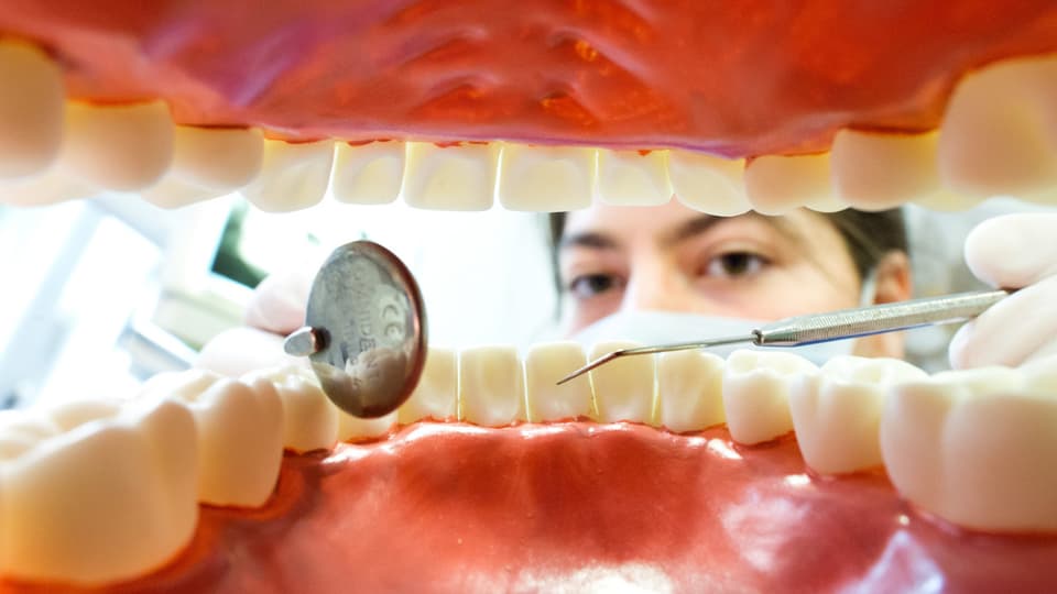 modell da dents e dentista.