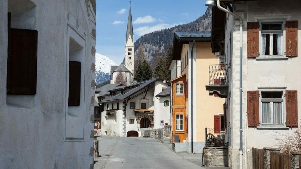 Vitg da Zernez.
