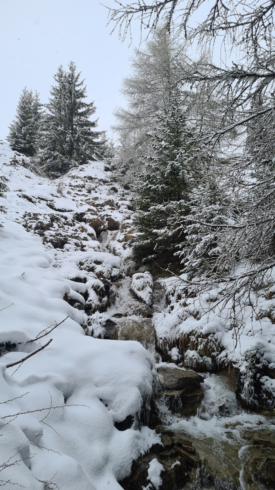 Bach im Schnee in Vella.