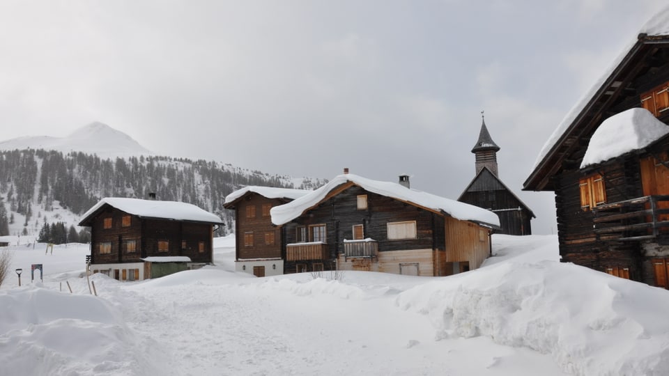 Mut Sura d'enviern
