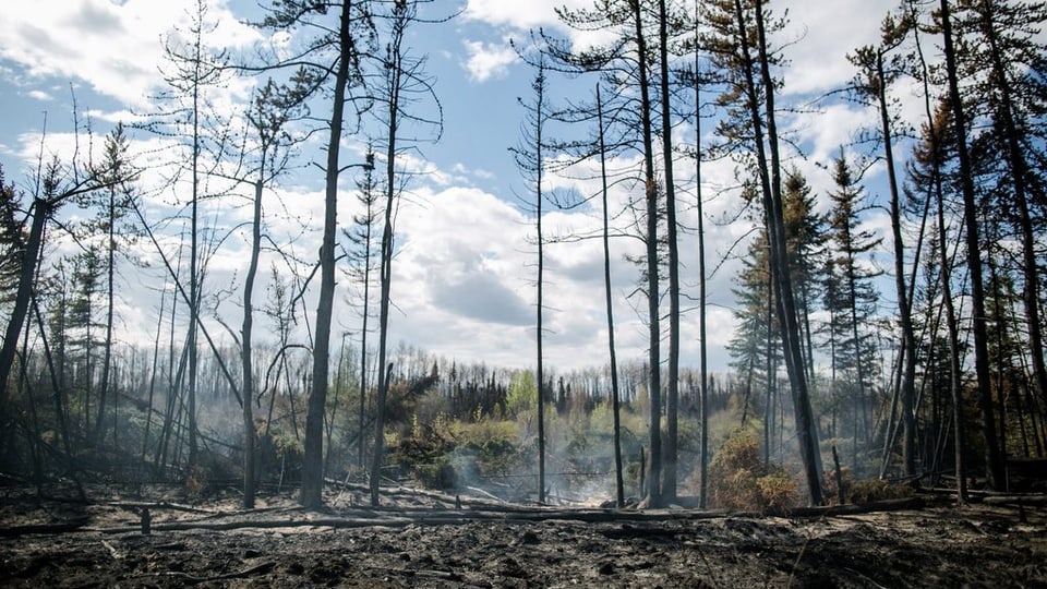 guaud brischà a Fort McMurray