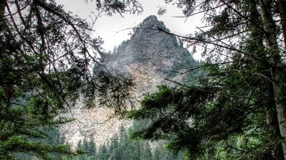 Rote Platte.