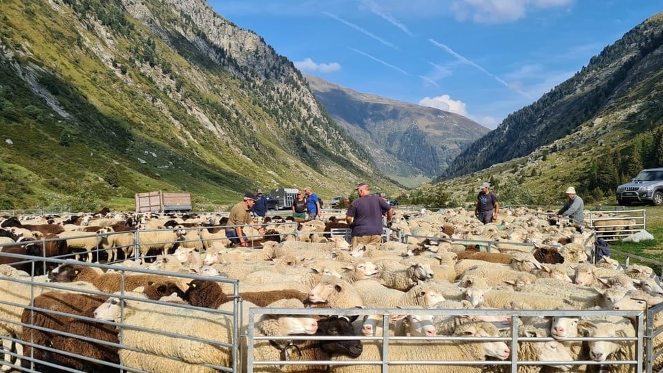 Alps: Stagiun tut normala malgrà aura schletta