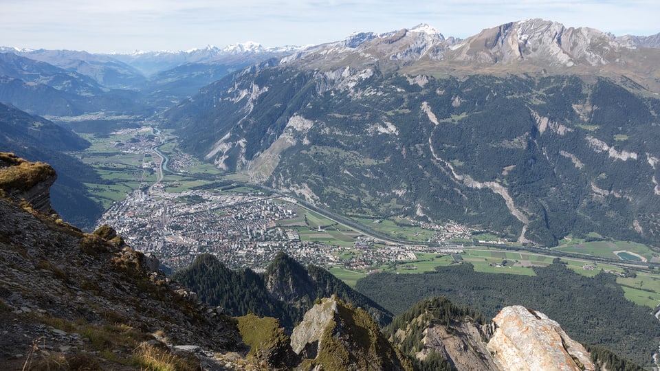 Purtret dal vitg da Favugn davent dal Montalin