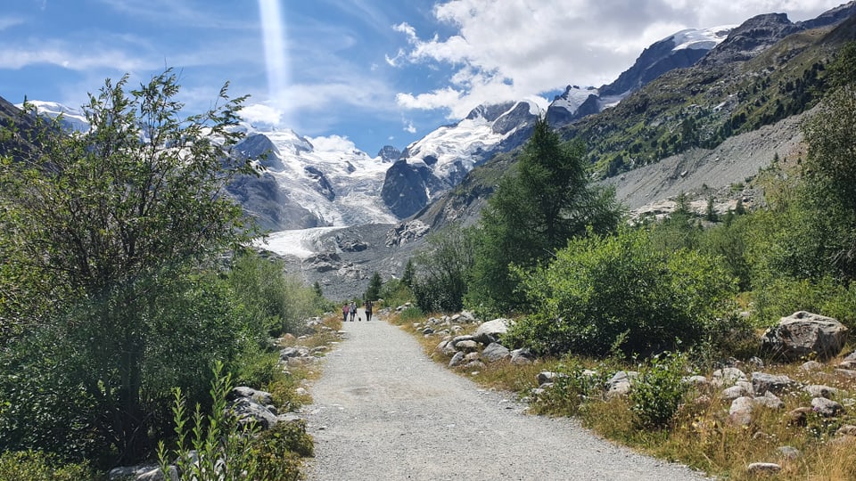 Vista en la Val Morteratsch