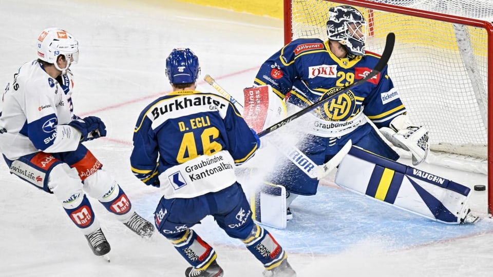 HCD, ZSC Lions