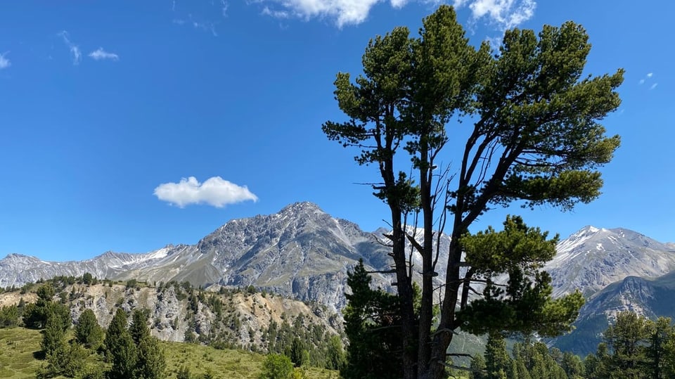 Berglandschaft