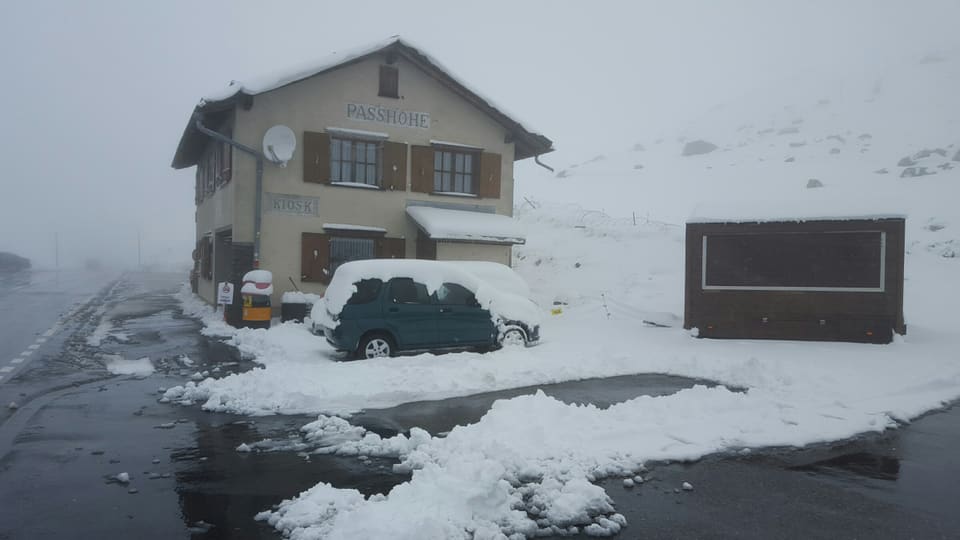 L'aura grisch en grisch e var 30 cm naiv sisum il Flüela.