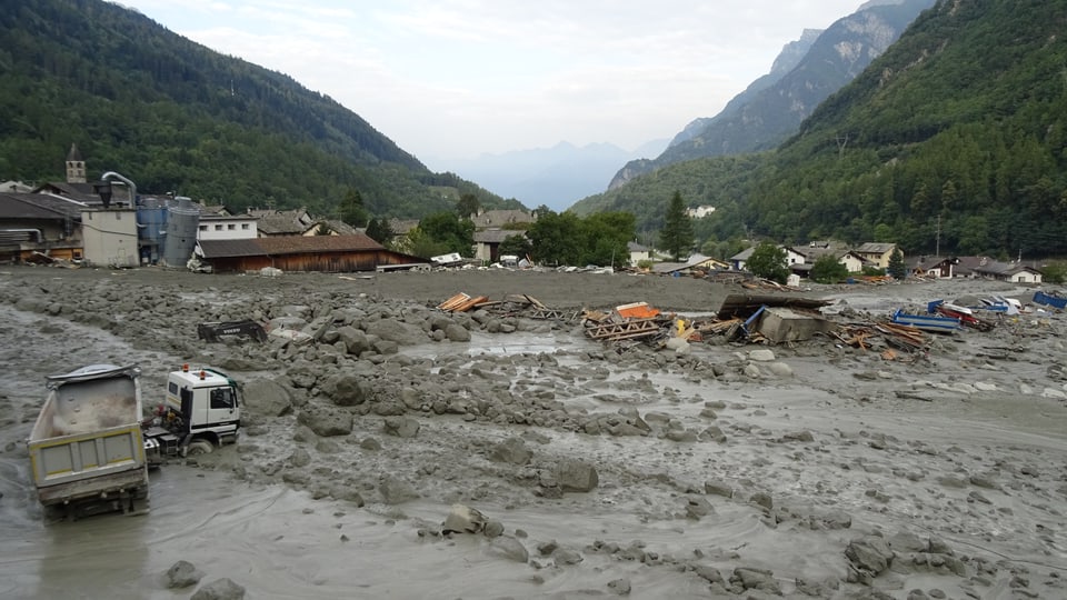 Durant las lavurs da rumir suenter l'emprima bova è vegnida la segunda.