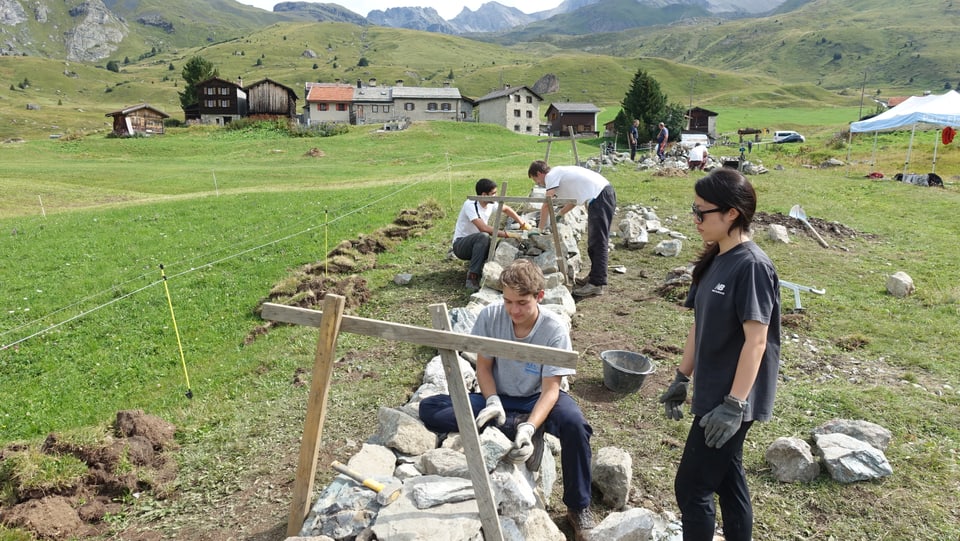 Impressiuns da la construcziun d'in mir sitg sin l'Alp Flex.