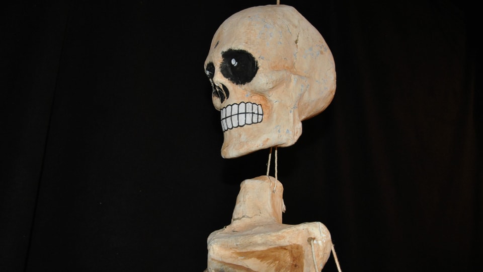 skelet artifizial