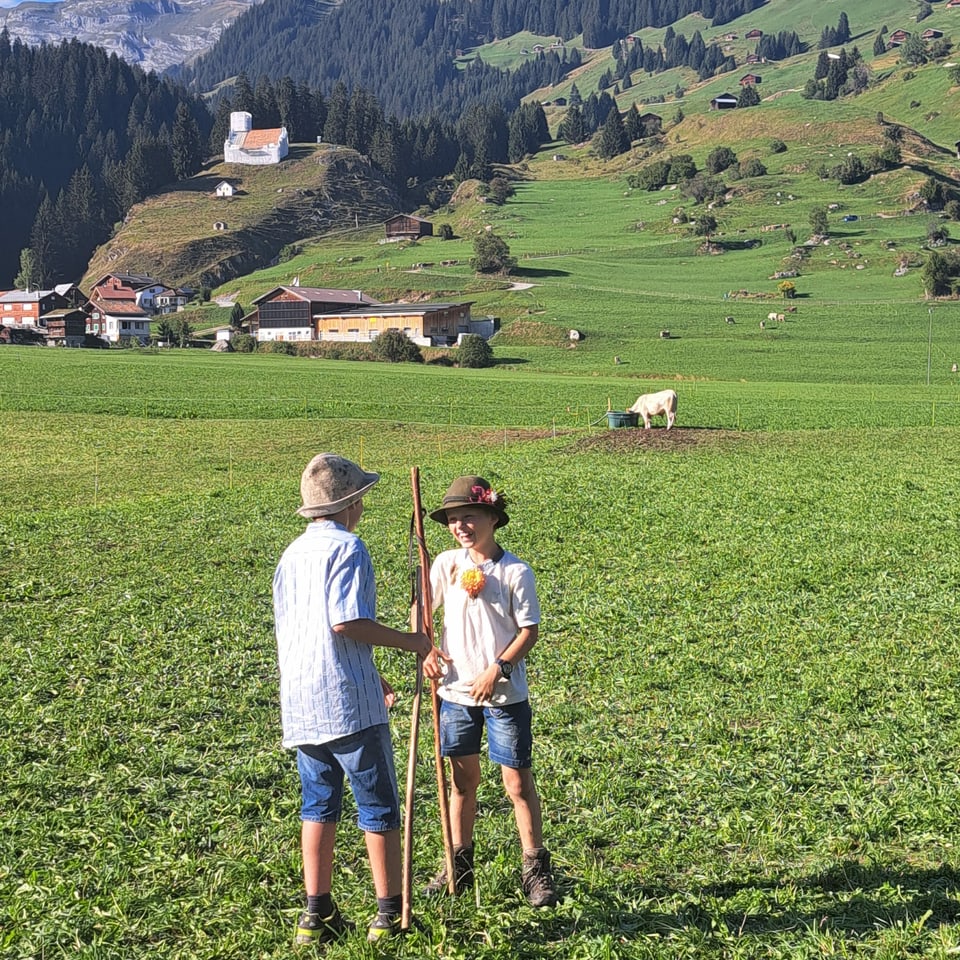 Knaben auf der Weide