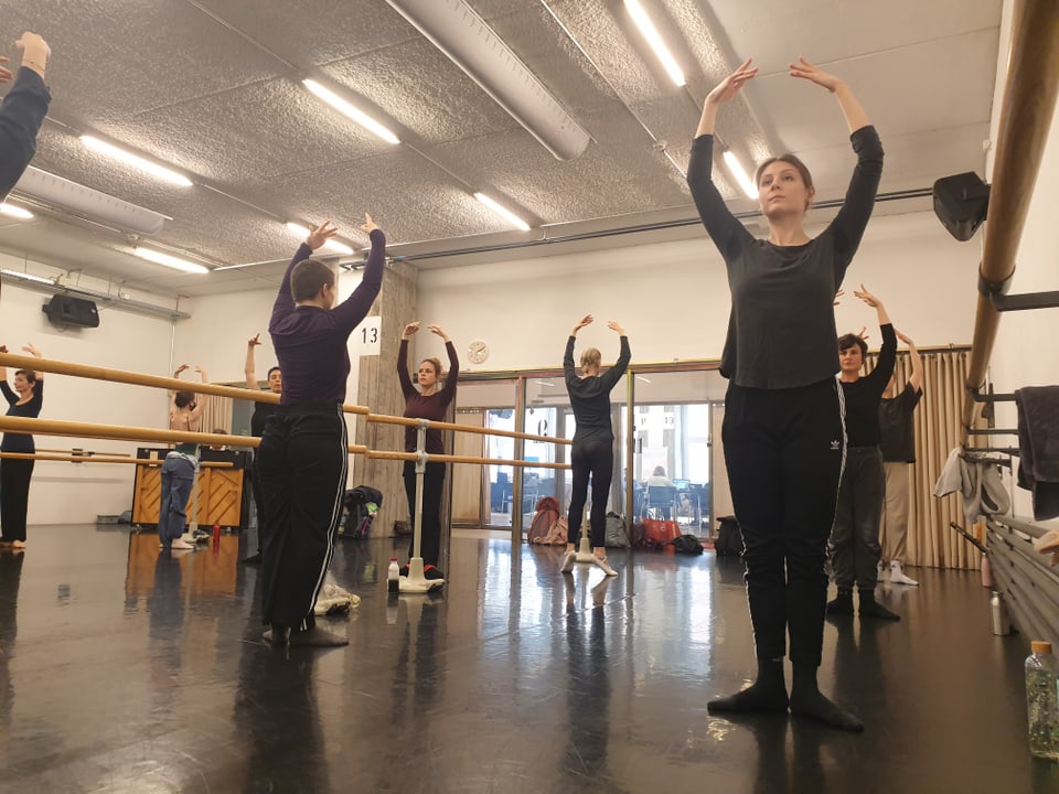 Berufstänzerin: Ballet
