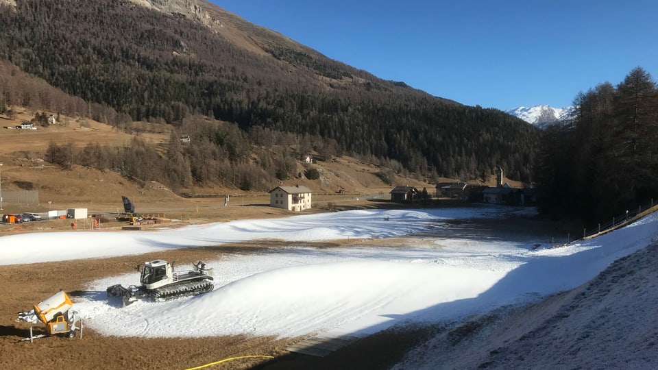 Producziun da naiv a Tschierv