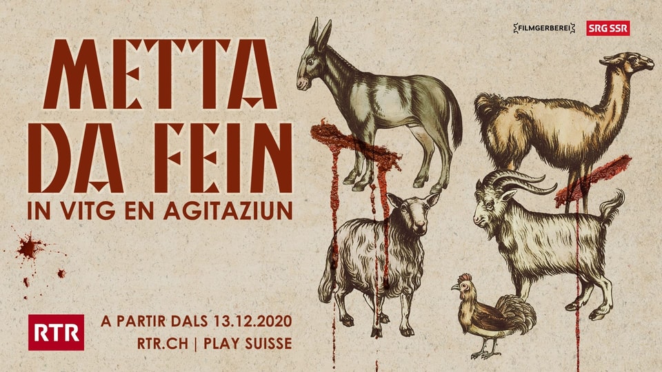 Placat per la seria web metta da fein cun 5 animals