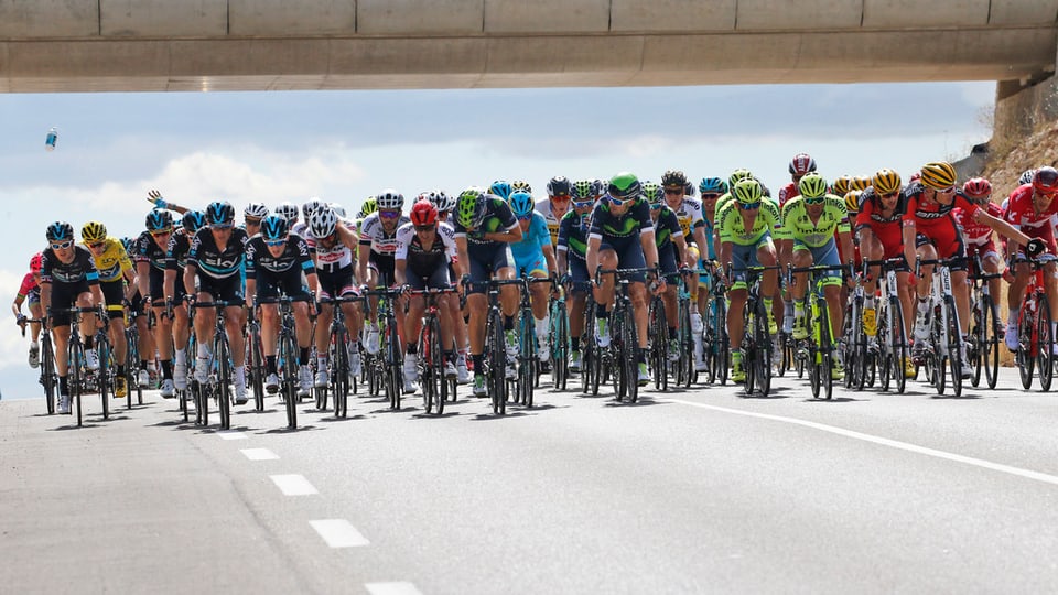 Ciclists al Tour de France