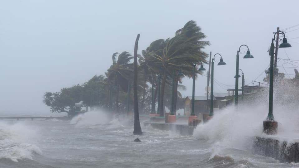 palmas e mar ed in ferm stemprà, il hurican Irma en la Caribica.