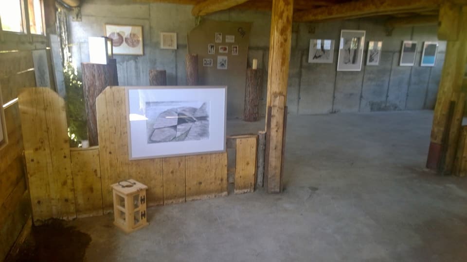 Exposiziun en la stalla. Ils purtrets dad Iris Riatsch da Vnà expost en la stalla a Prà San Peder