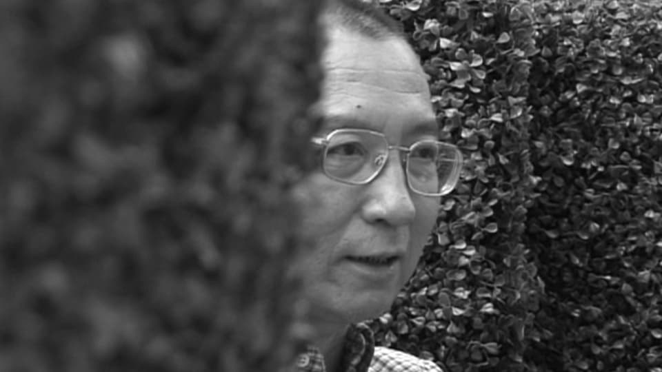 Liu Xiaobo è vegnì undrà cun il Premi Nobel da la pasch l'onn 2010.