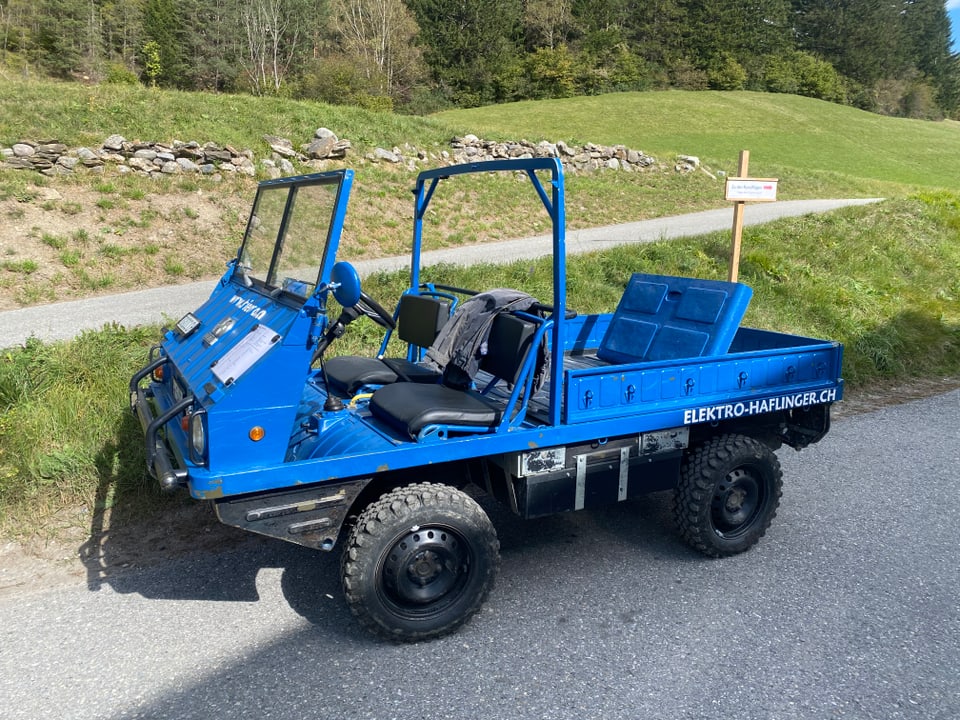 In Pinzgauer electrifitgà.