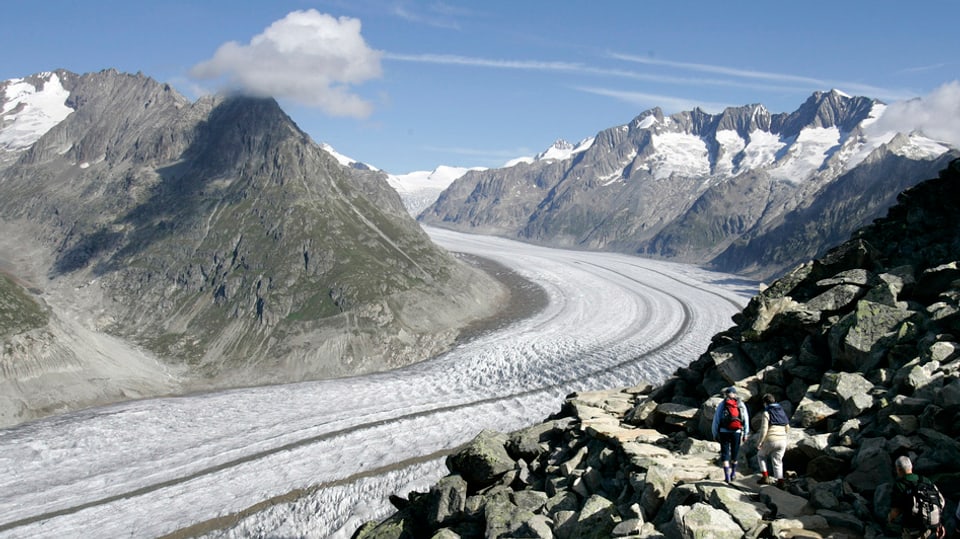 Cun ina lunghezza da 23 km è il glatscher da l'Aletsch il pli lung glatscher da l’Europa.