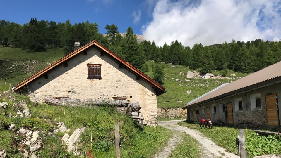 L'Alp Neusäss sin bun 1900 m.s.m.