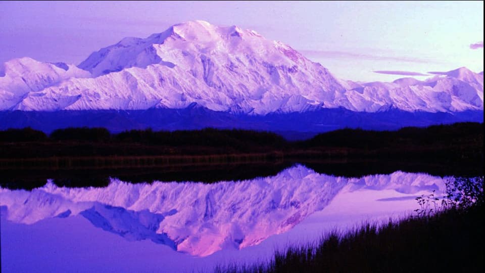 culm denali