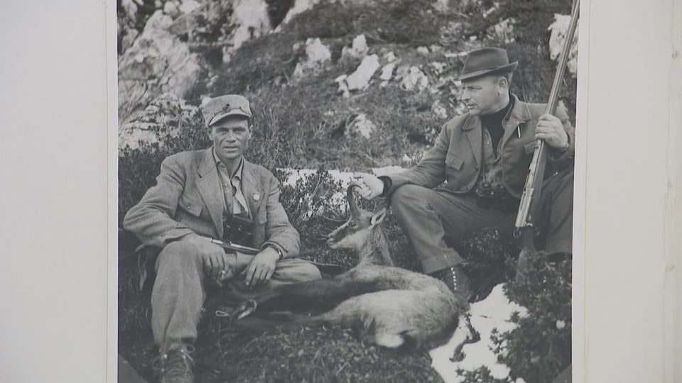 Jagd