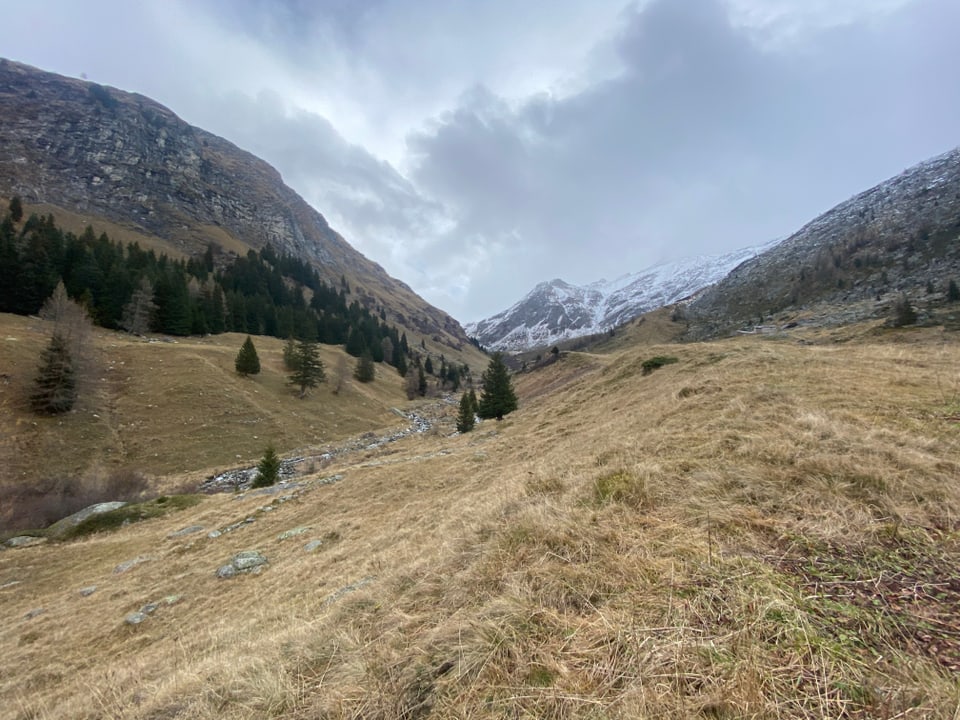 L'Aua da Mulegn dasper l'Alp Sut Fuina duess vegnir nizzegiada per la producziun d'electric.