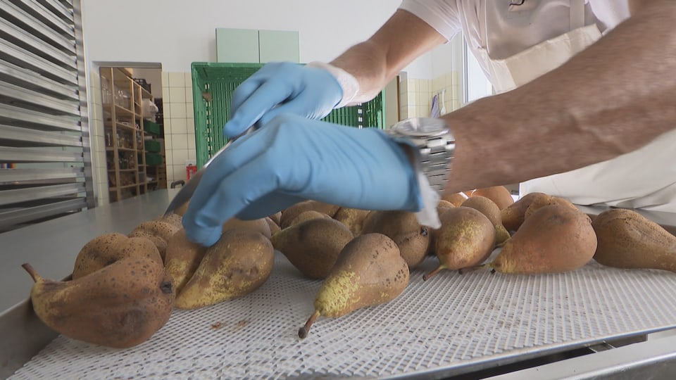 Handarbeit in der Dörrerei