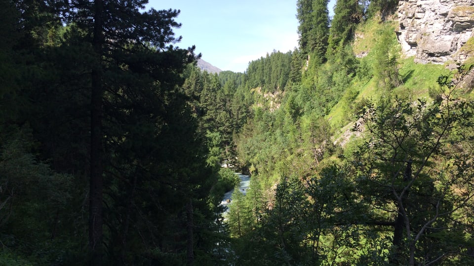 vista en la Val Fex