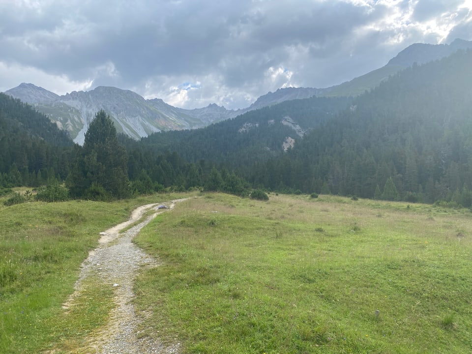 Schweizerischer Nationalpark