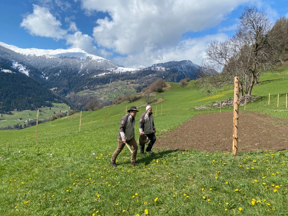 Ils cuschiniers Hansjörg Ladurner (san.) René bissig sin l'er a Lain.