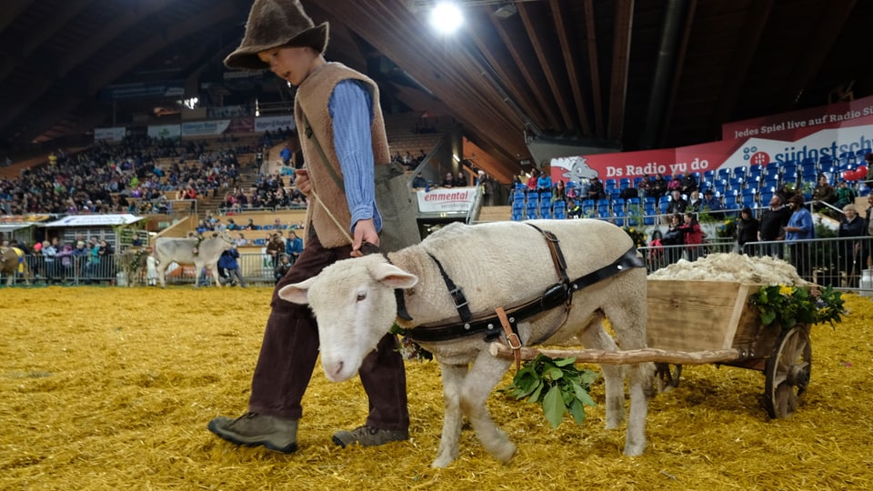 Uffant preschenta ina nursa sco ses animal preferì. 