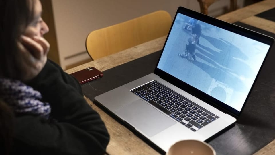 Dunna che guarda sin in laptop