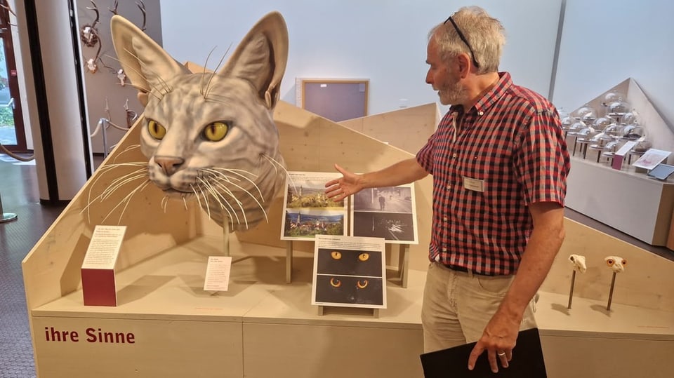Ein Mann steht vor einem Exponat in einem Museum und deutet auf die Bilder hinter ihm.