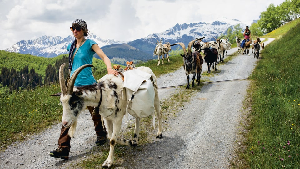 Trekking 