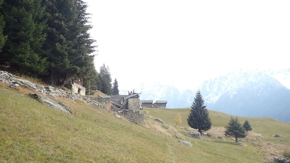 Cuntrada dal territori a Soglio