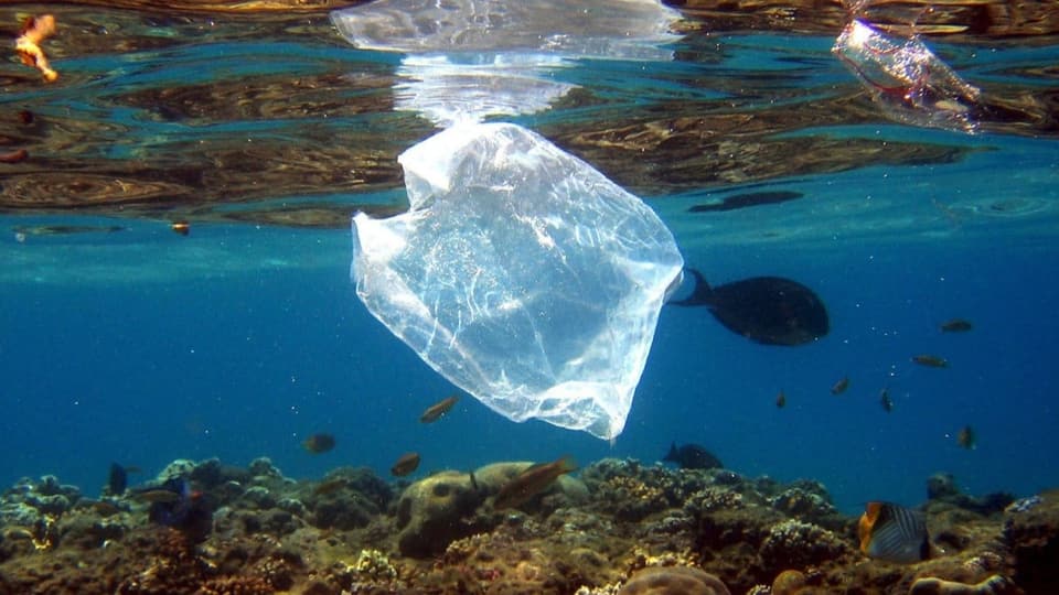 Bler dapli plastic en ils oceans fin 2050.