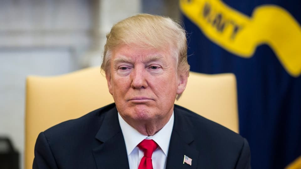 Purtret da Donald Trump. 