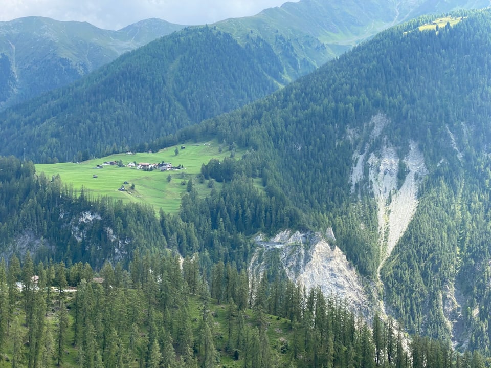 Vista davent da Tagn/Wiesen sin Jenisberg/Valplana e sin l'alp da Valplana.