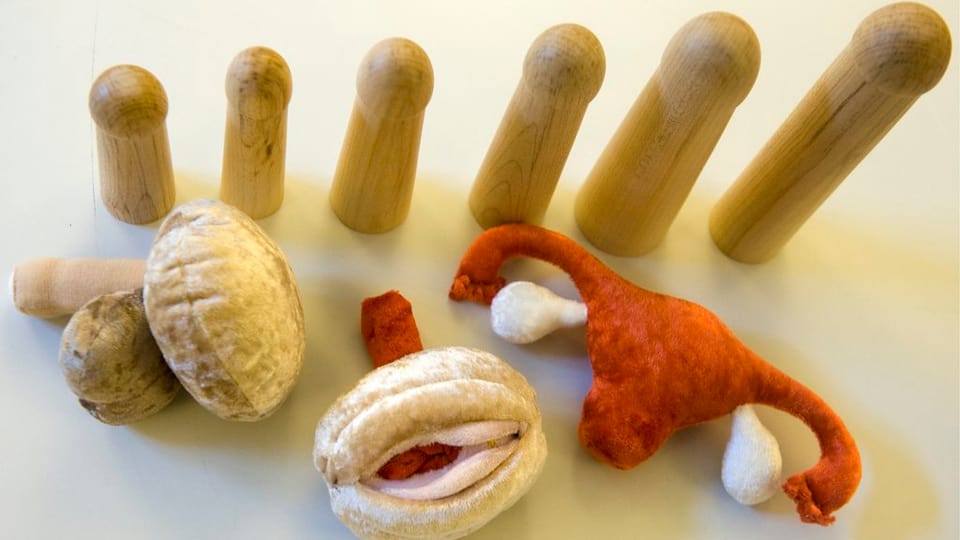 Material per l'ecudaziun sexuala