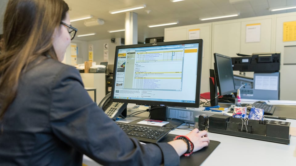 Ina giuvna davant in computer. 